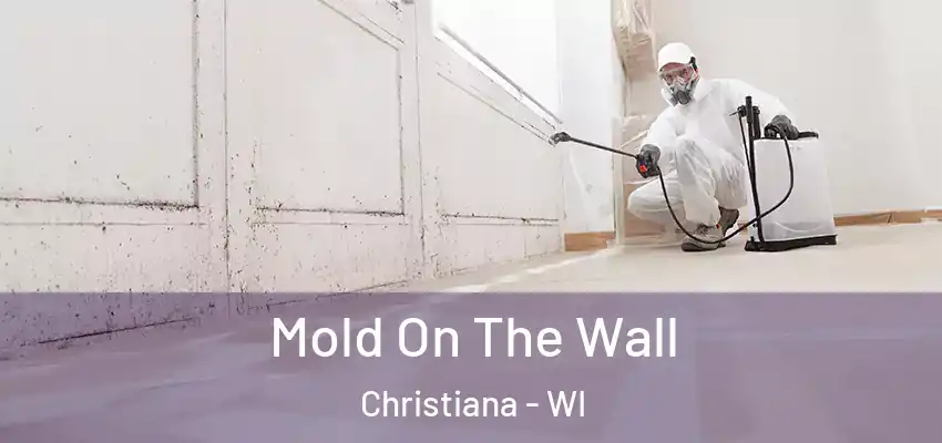  Mold On The Wall Christiana - WI
