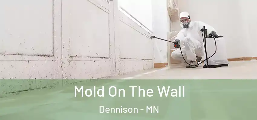  Mold On The Wall Dennison - MN