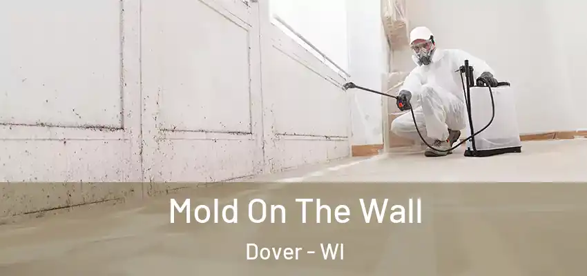  Mold On The Wall Dover - WI