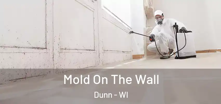  Mold On The Wall Dunn - WI