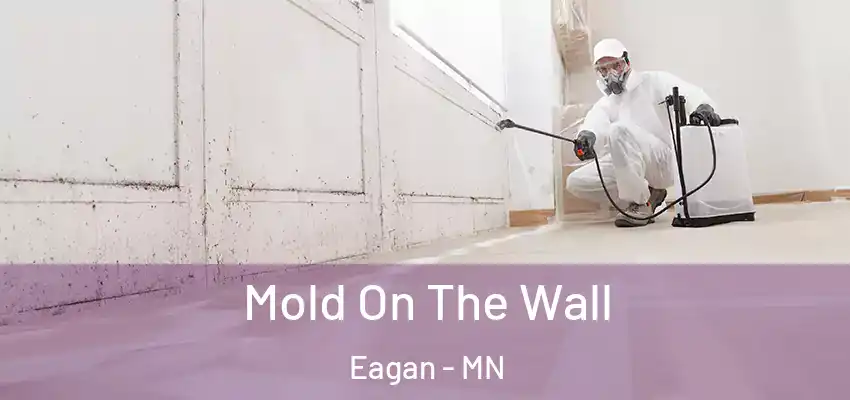  Mold On The Wall Eagan - MN