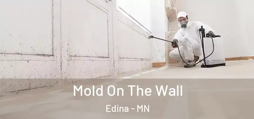 Mold On The Wall Edina - MN