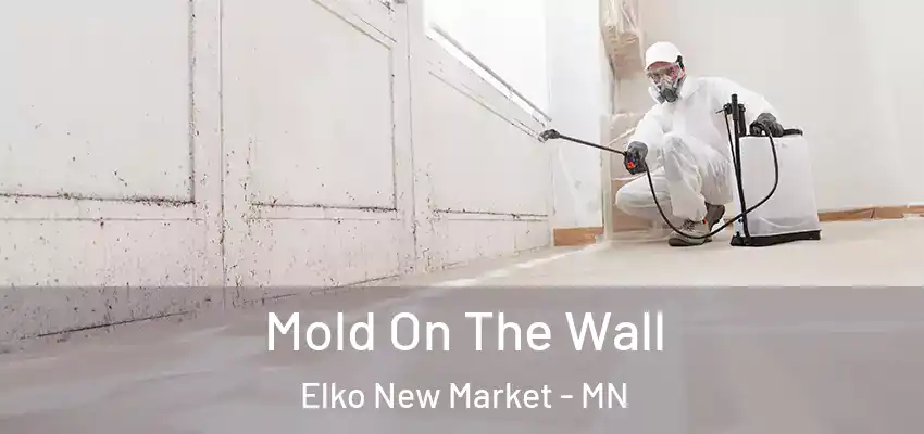  Mold On The Wall Elko New Market - MN