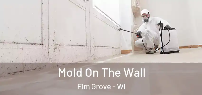  Mold On The Wall Elm Grove - WI