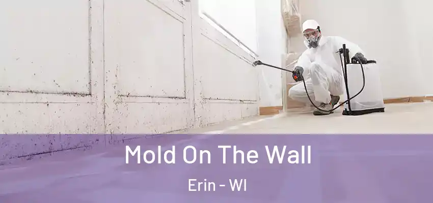  Mold On The Wall Erin - WI