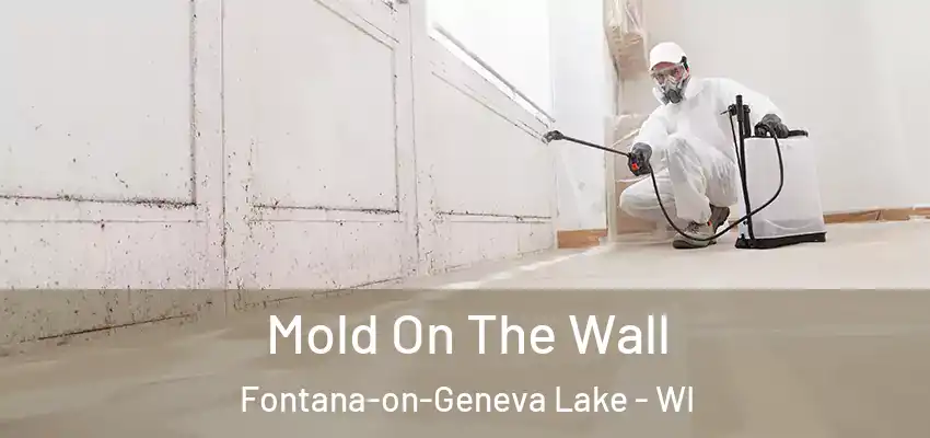  Mold On The Wall Fontana-on-Geneva Lake - WI