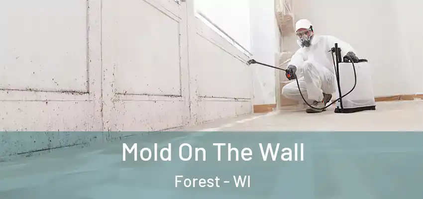 Mold On The Wall Forest - WI