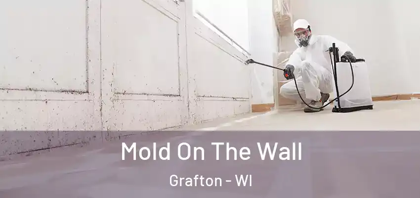  Mold On The Wall Grafton - WI