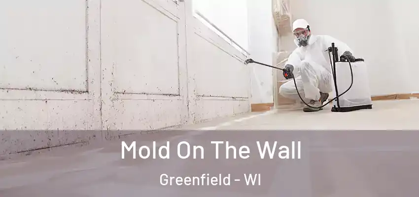  Mold On The Wall Greenfield - WI
