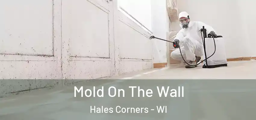  Mold On The Wall Hales Corners - WI
