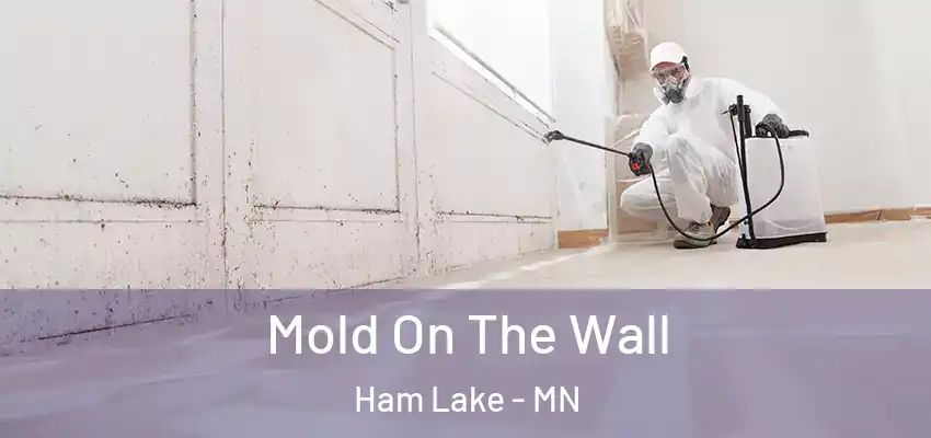  Mold On The Wall Ham Lake - MN