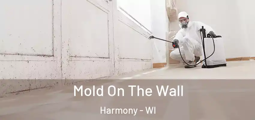 Mold On The Wall Harmony - WI