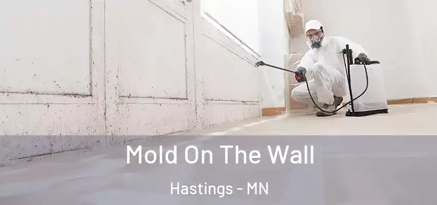  Mold On The Wall Hastings - MN