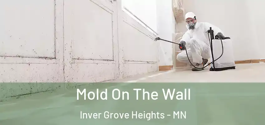  Mold On The Wall Inver Grove Heights - MN