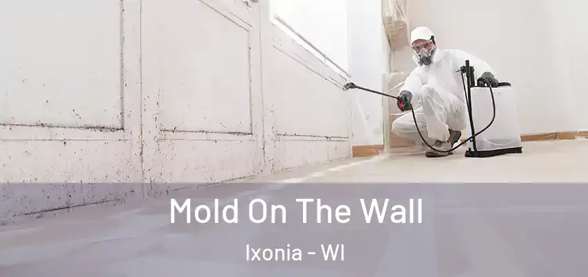  Mold On The Wall Ixonia - WI