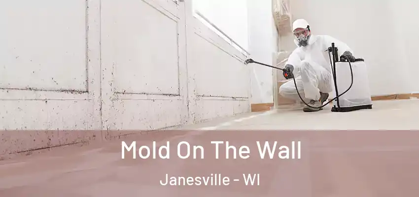 Mold On The Wall Janesville - WI
