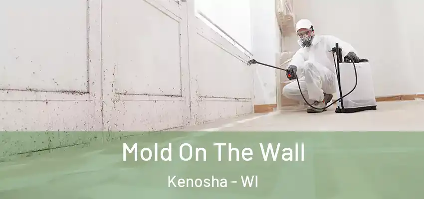 Mold On The Wall Kenosha - WI