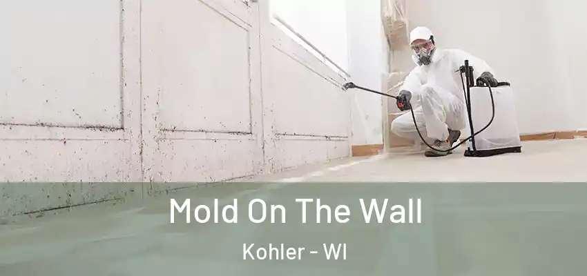  Mold On The Wall Kohler - WI
