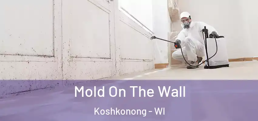  Mold On The Wall Koshkonong - WI