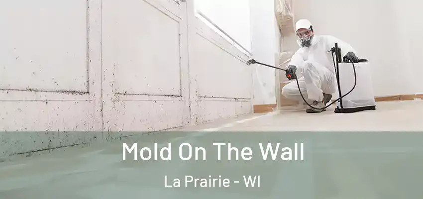 Mold On The Wall La Prairie - WI