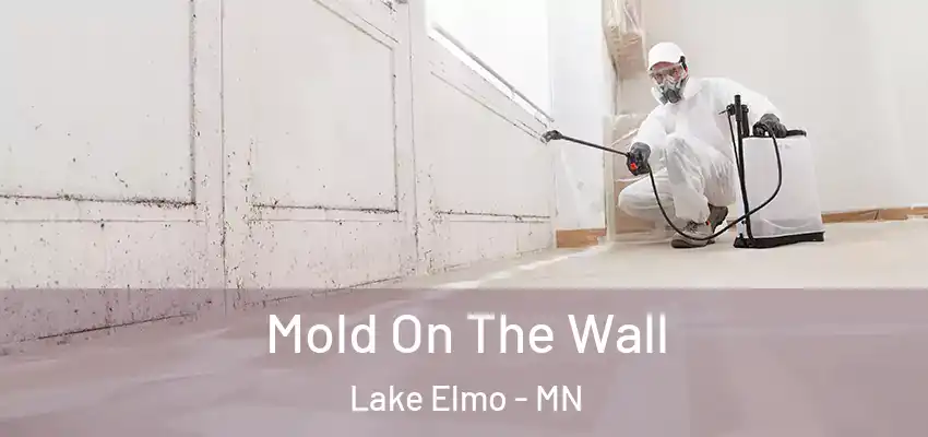  Mold On The Wall Lake Elmo - MN