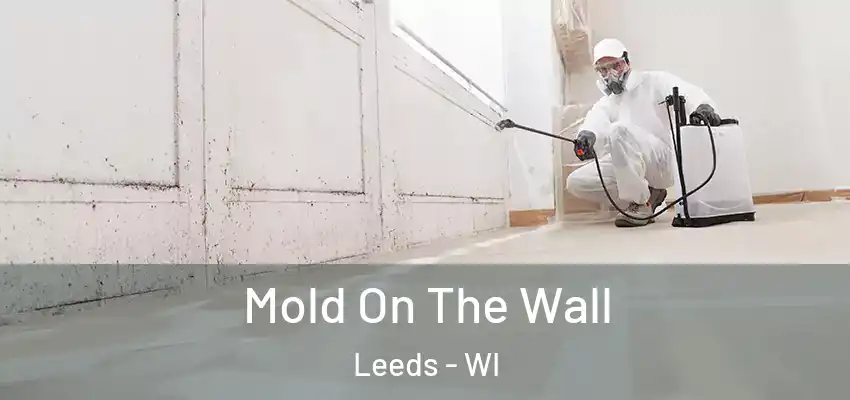  Mold On The Wall Leeds - WI