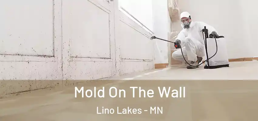  Mold On The Wall Lino Lakes - MN