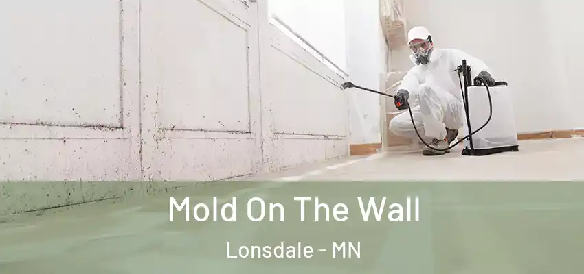  Mold On The Wall Lonsdale - MN