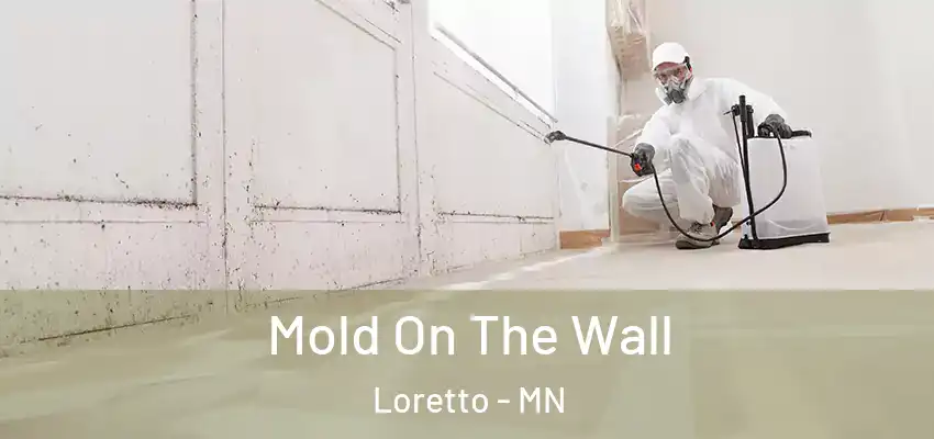 Mold On The Wall Loretto - MN