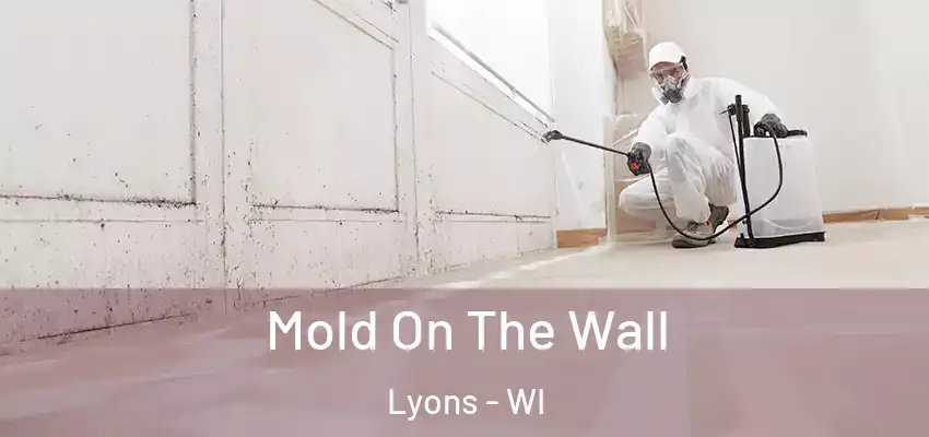 Mold On The Wall Lyons - WI