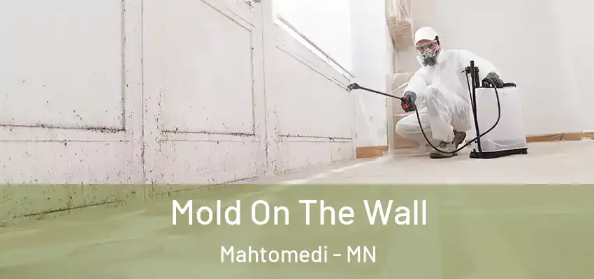  Mold On The Wall Mahtomedi - MN