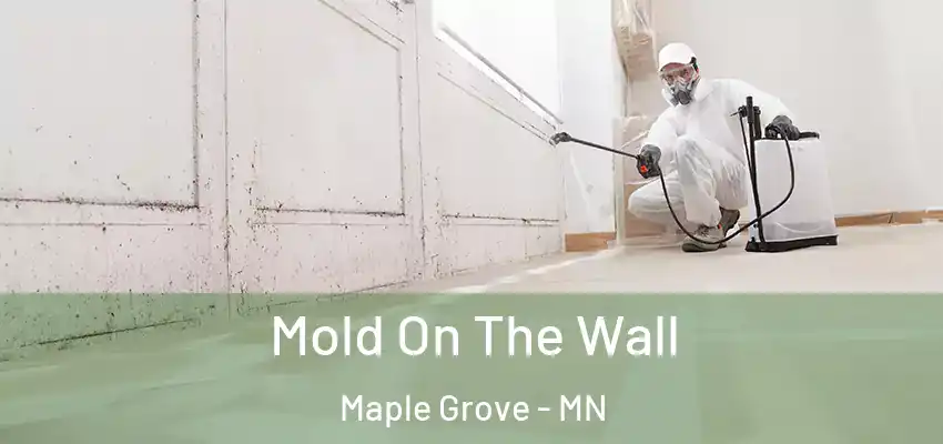  Mold On The Wall Maple Grove - MN