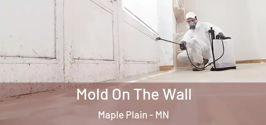 Mold On The Wall Maple Plain - MN