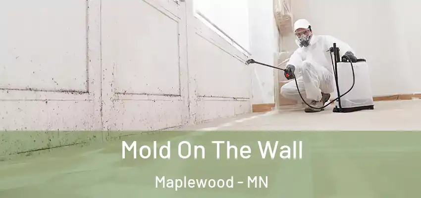 Mold On The Wall Maplewood - MN