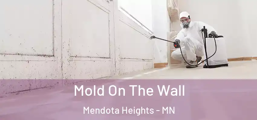  Mold On The Wall Mendota Heights - MN