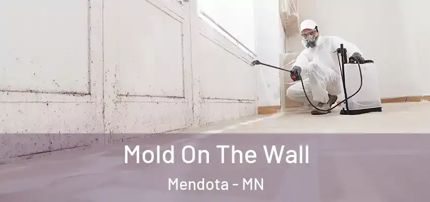  Mold On The Wall Mendota - MN