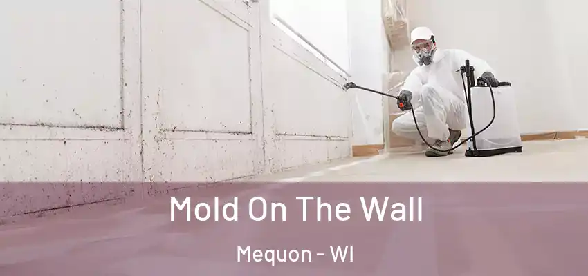  Mold On The Wall Mequon - WI