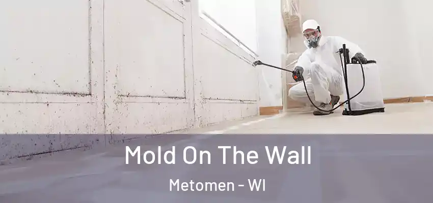  Mold On The Wall Metomen - WI