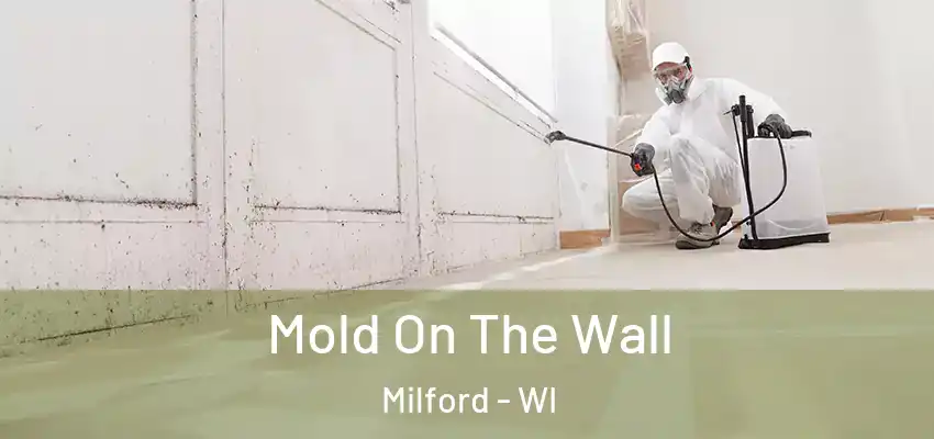  Mold On The Wall Milford - WI
