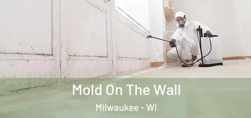  Mold On The Wall Milwaukee - WI