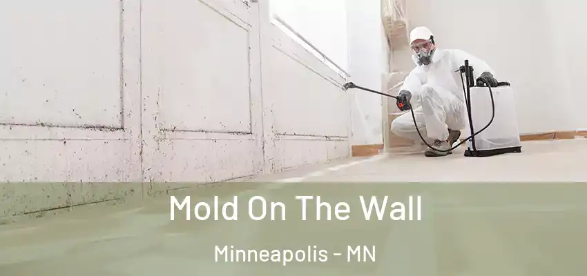  Mold On The Wall Minneapolis - MN