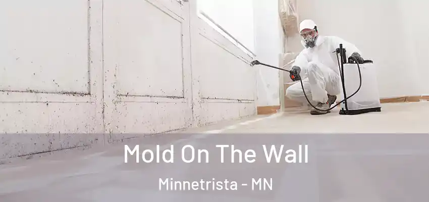  Mold On The Wall Minnetrista - MN