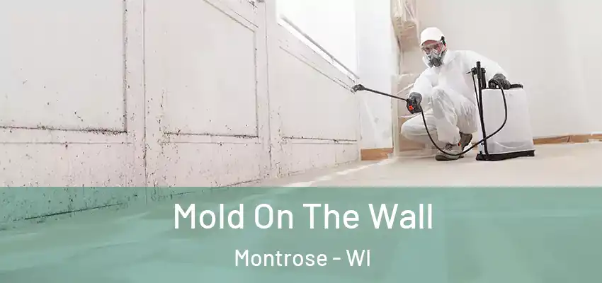  Mold On The Wall Montrose - WI