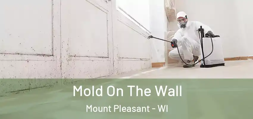  Mold On The Wall Mount Pleasant - WI