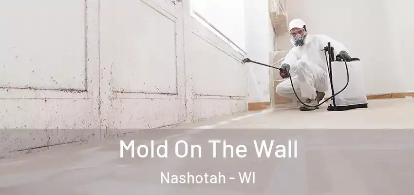  Mold On The Wall Nashotah - WI