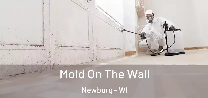  Mold On The Wall Newburg - WI