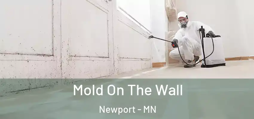  Mold On The Wall Newport - MN