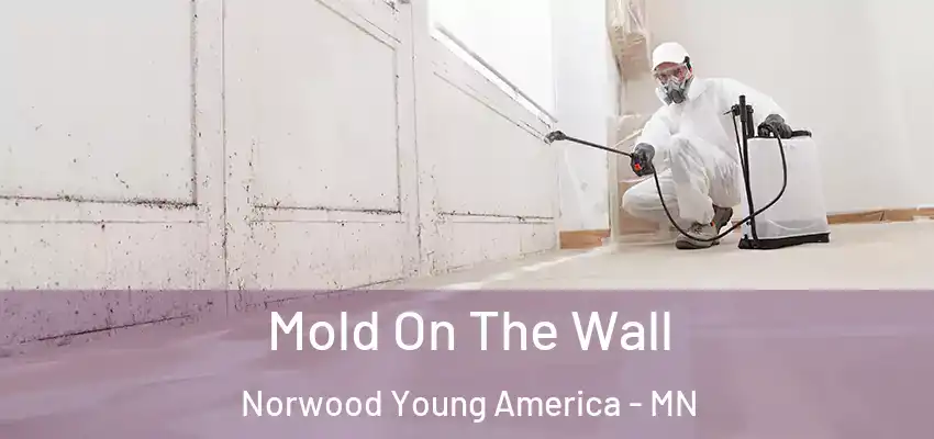  Mold On The Wall Norwood Young America - MN