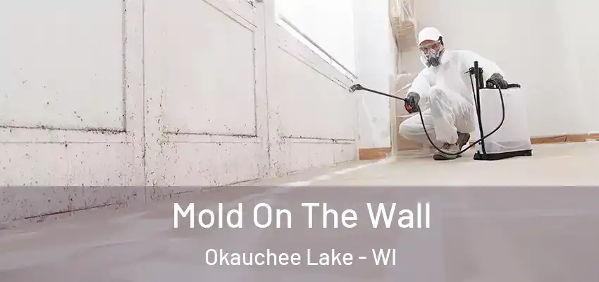  Mold On The Wall Okauchee Lake - WI