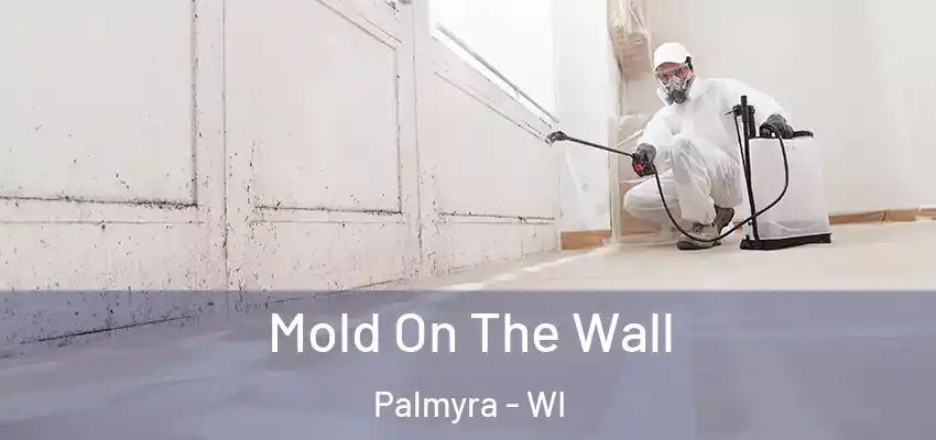  Mold On The Wall Palmyra - WI